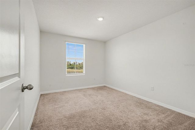 12068 DOWNY BIRCH DRIVE, Riverview, FL 33569