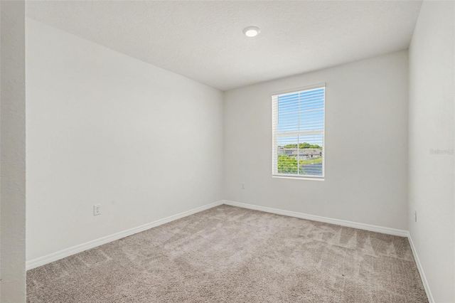 12068 DOWNY BIRCH DRIVE, Riverview, FL 33569