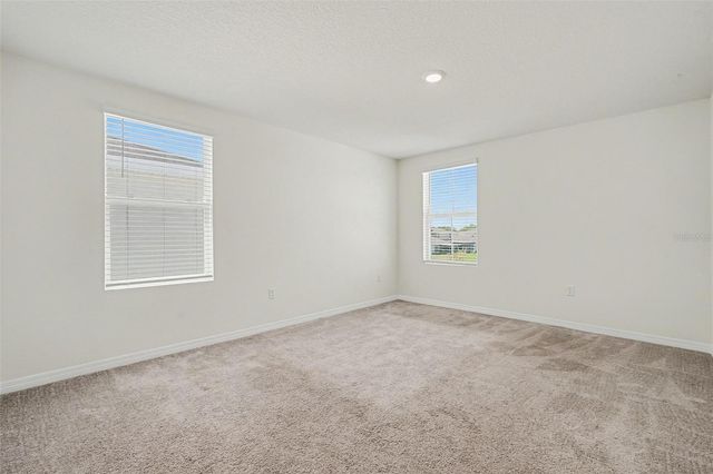 12068 DOWNY BIRCH DRIVE, Riverview, FL 33569