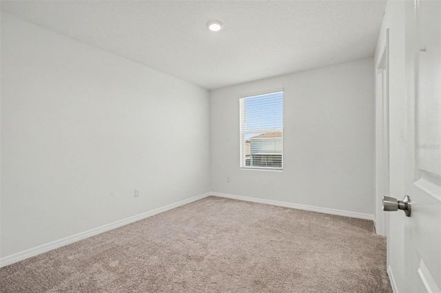 12068 DOWNY BIRCH DRIVE, Riverview, FL 33569