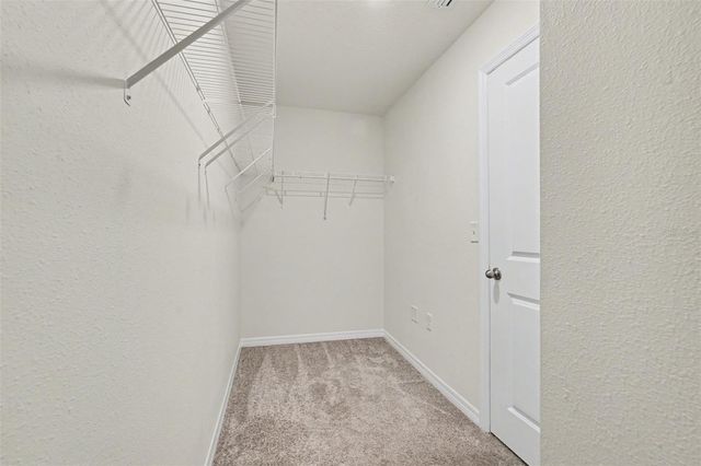 12068 DOWNY BIRCH DRIVE, Riverview, FL 33569