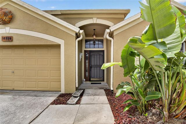 12229 DAWN VISTA DRIVE, Riverview, FL 33578