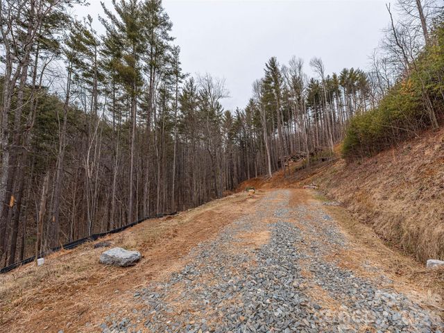 9 Freshwater Cove, Maggie Valley, NC 28751