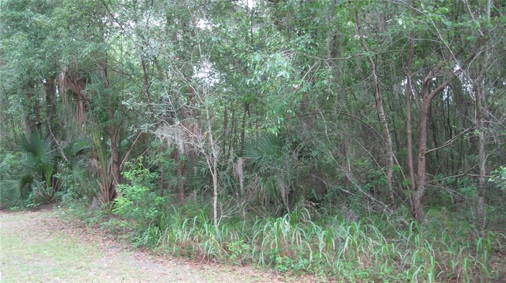 OAK VALLEY DRIVE, Deland, FL 32720