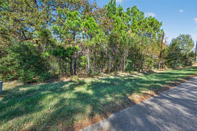 TBD Boars Head, Montgomery, TX 77316