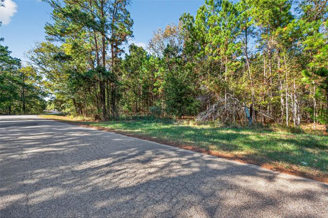 TBD Boars Head, Montgomery, TX 77316