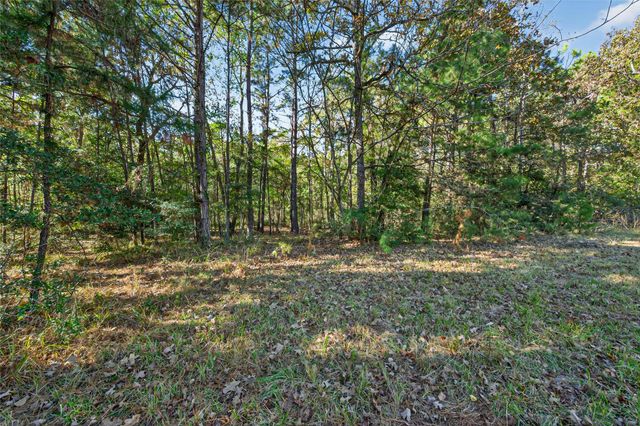 TBD Boars Head, Montgomery, TX 77316