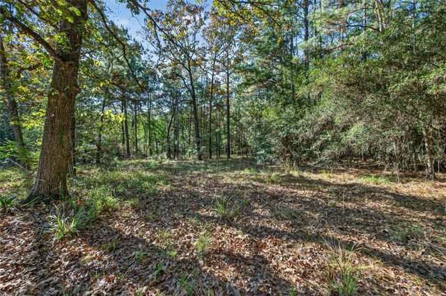 TBD Boars Head, Montgomery, TX 77316