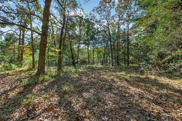 TBD Boars Head, Montgomery, TX 77316