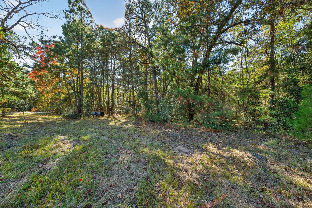 TBD Boars Head, Montgomery, TX 77316