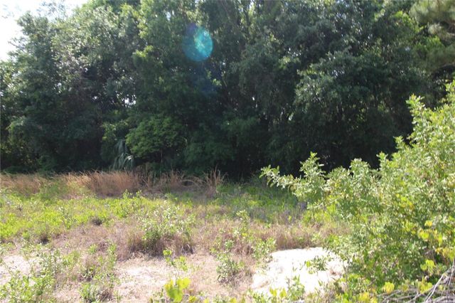 OLD EAST LAKE, Tarpon Springs, FL 34688