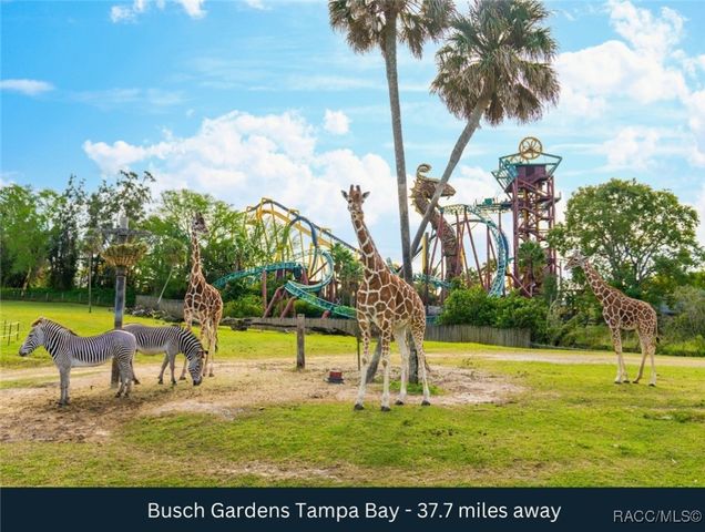 8201 US HIGHWAY 98 N, Lakeland, FL 33809