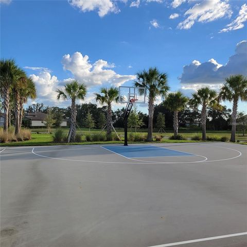 17335 BLUE RIDGE PLACE, Bradenton, FL 34211