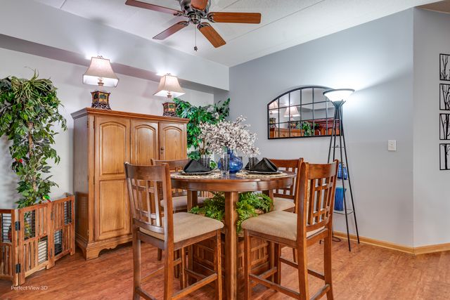 5331 W Mint Julip Drive 101, Alsip, IL 60803