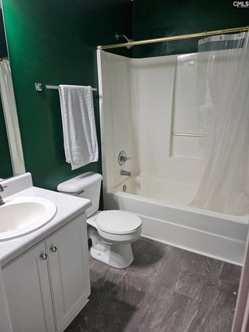 217 Twin Eagles Drive, Columbia, SC 29203