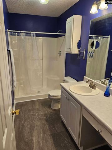 217 Twin Eagles Drive, Columbia, SC 29203