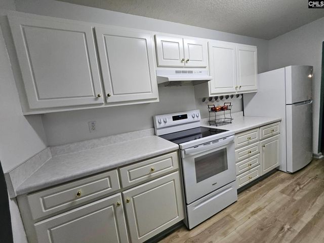 217 Twin Eagles Drive, Columbia, SC 29203