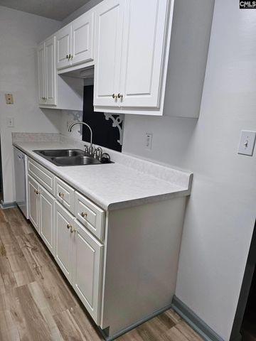 217 Twin Eagles Drive, Columbia, SC 29203