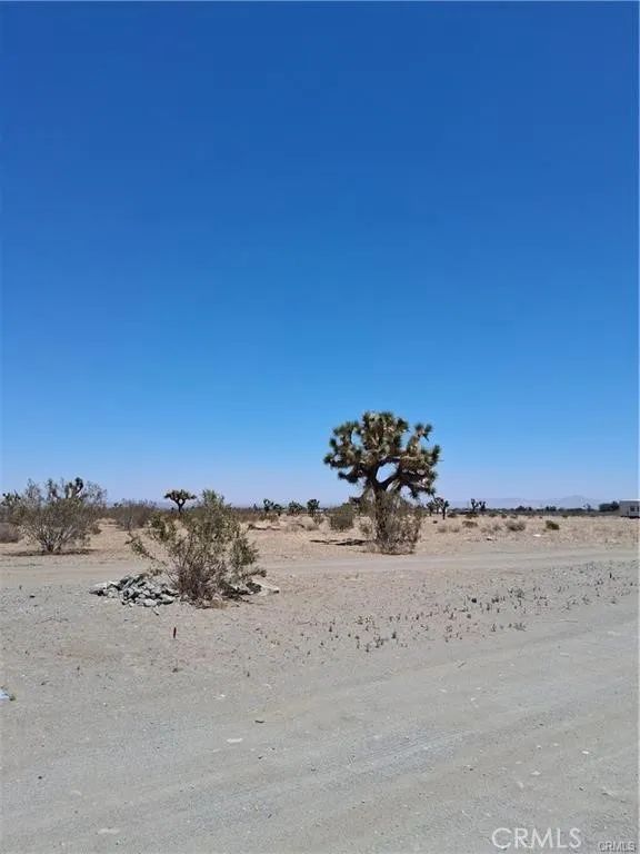 17 Danbury, Phelan, CA 92371