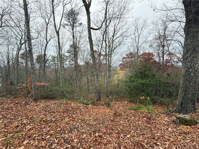 1130 Packs Mountain Ridge Road, Taylors, SC 29687