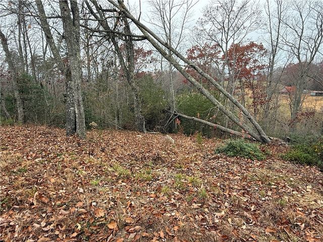 1130 Packs Mountain Ridge Road, Taylors, SC 29687