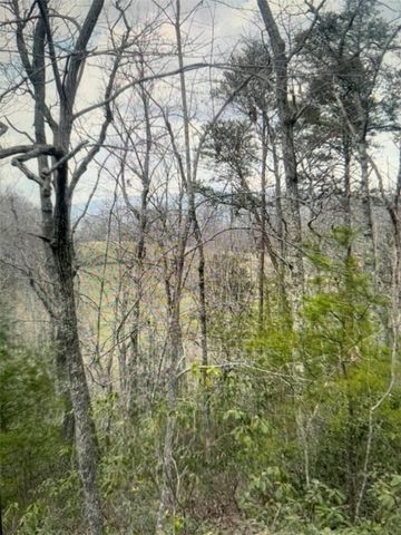 1130 Packs Mountain Ridge Road, Taylors, SC 29687