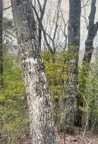 1130 Packs Mountain Ridge Road, Taylors, SC 29687