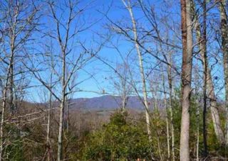 1130 Packs Mountain Ridge Road, Taylors, SC 29687