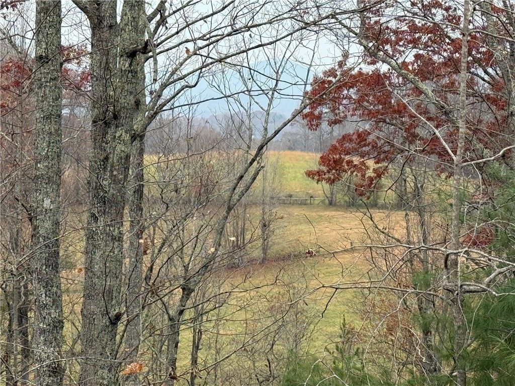 1130 Packs Mountain Ridge Road, Taylors, SC 29687