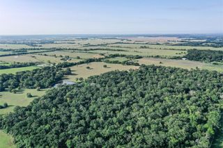 60 Acres Fm 2967, Crockett, TX 75835