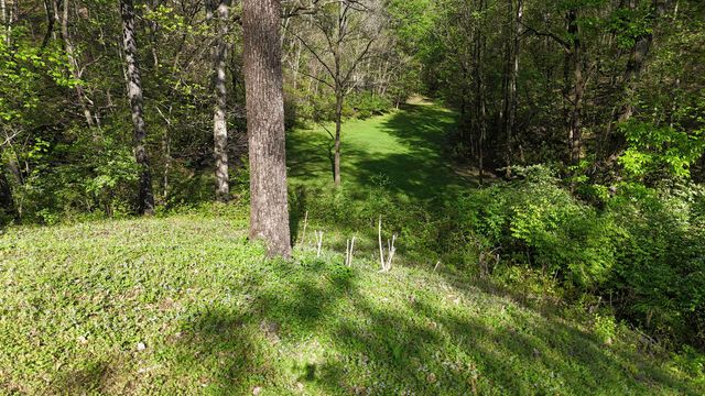 1650 Cash Canyon Road, Chattanooga, TN 37419