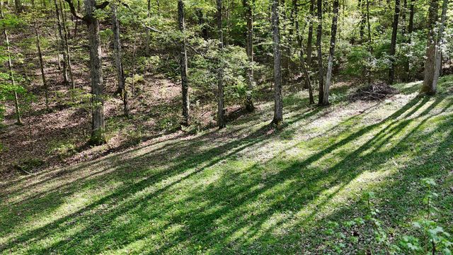 1650 Cash Canyon Road, Chattanooga, TN 37419