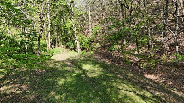 1650 Cash Canyon Road, Chattanooga, TN 37419