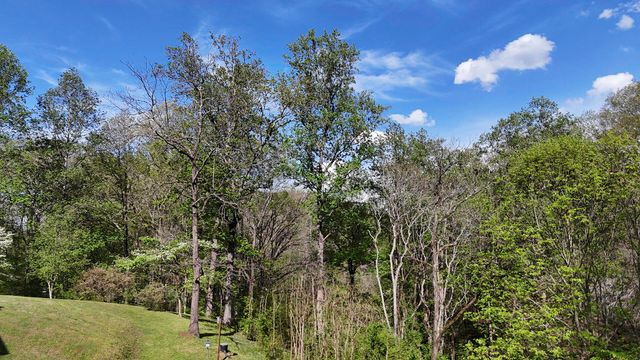 1650 Cash Canyon Road, Chattanooga, TN 37419