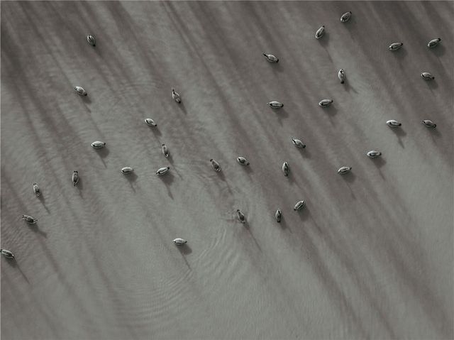 15783 Clay Road, Fredonia, KS 66736