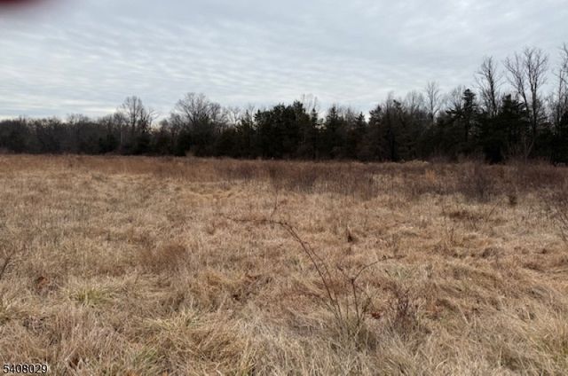 23 Coddington Road, Readington Twp., NJ 08889