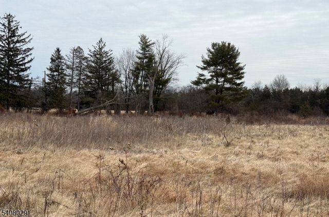 23 Coddington Road, Readington Twp., NJ 08889