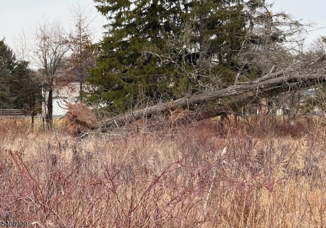 23 Coddington Road, Readington Twp., NJ 08889