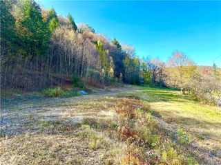 Hazel Road, Livingston Manor, NY 12758