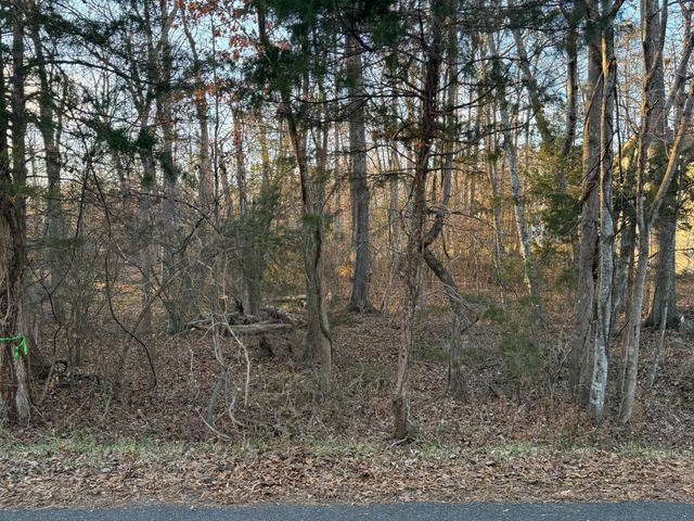 119 REPUBLIC AVE, Locust Grove, VA 22508
