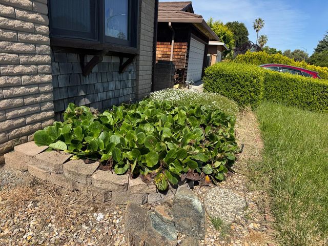 1695 Wickham Road, San Jose, CA 95132