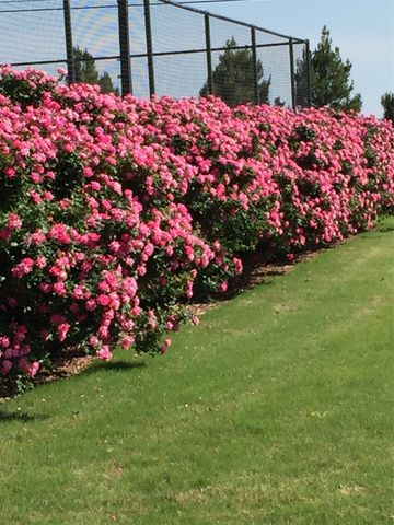 5601 Wagon Wheel Avenue, Abilene, TX 79606