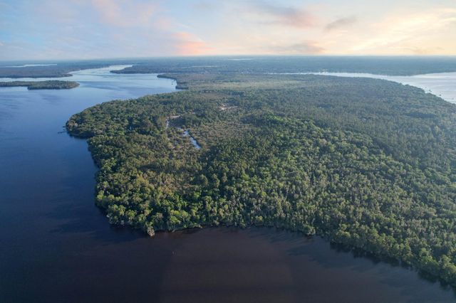 356 Drayton Island Rd, Georgetown, FL 32139