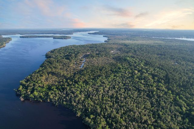 356 Drayton Island Rd, Georgetown, FL 32139