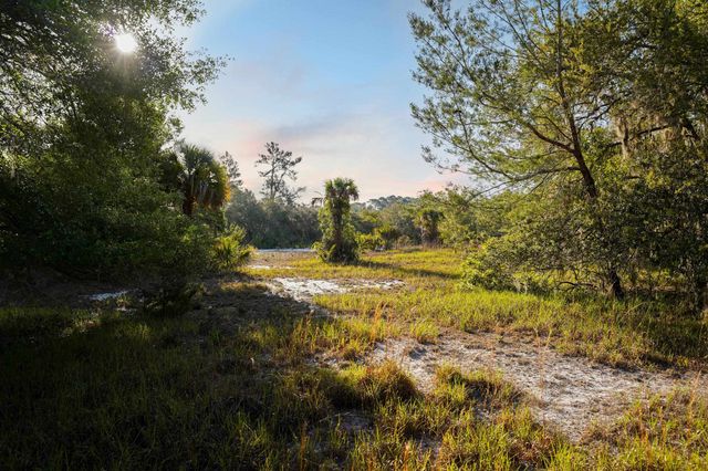 356 Drayton Island Rd, Georgetown, FL 32139