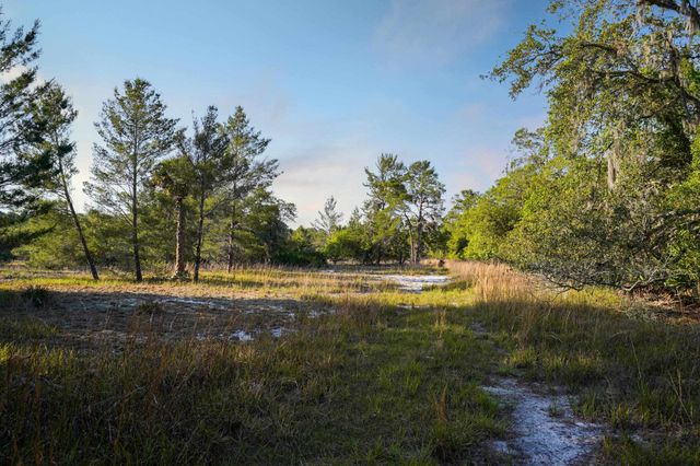 356 Drayton Island Rd, Georgetown, FL 32139