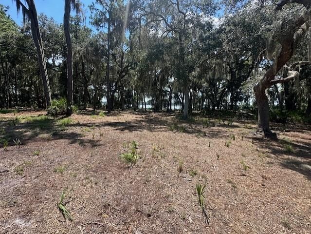 356 Drayton Island Rd, Georgetown, FL 32139