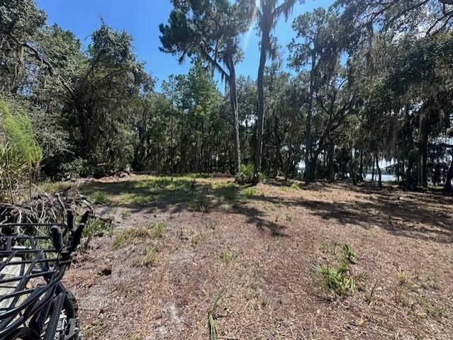 356 Drayton Island Rd, Georgetown, FL 32139