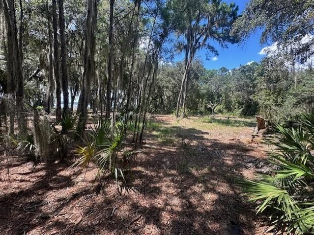 356 Drayton Island Rd, Georgetown, FL 32139