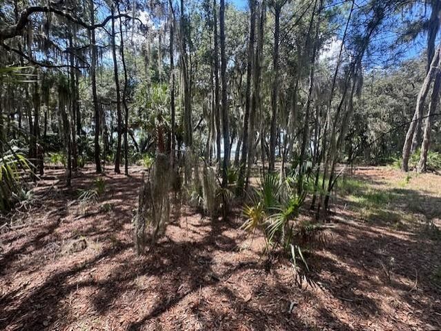 356 Drayton Island Rd, Georgetown, FL 32139